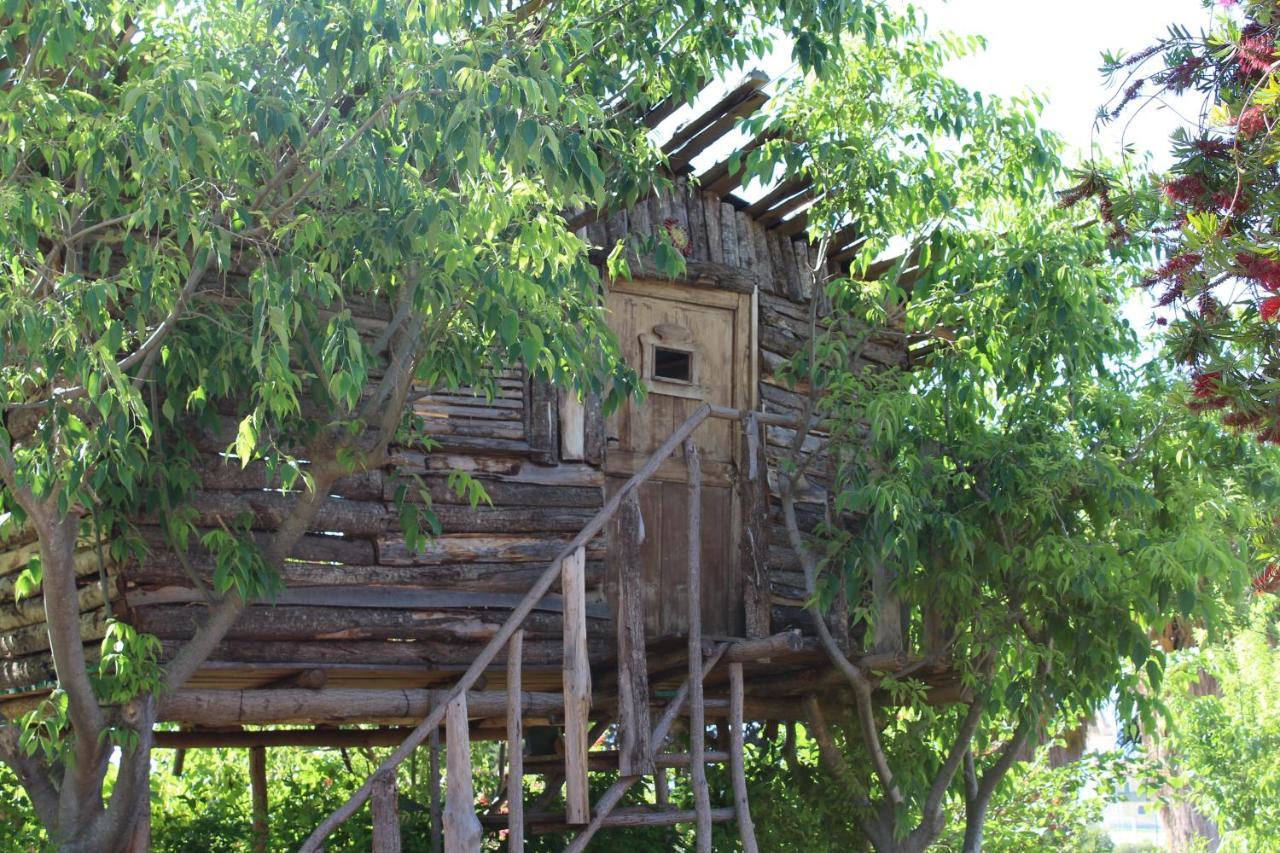 سانتا دومينيكا Agriturismo Ruralia المظهر الخارجي الصورة