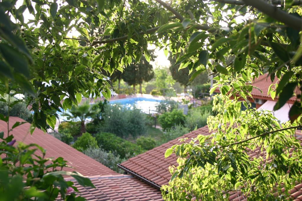 سانتا دومينيكا Agriturismo Ruralia المظهر الخارجي الصورة