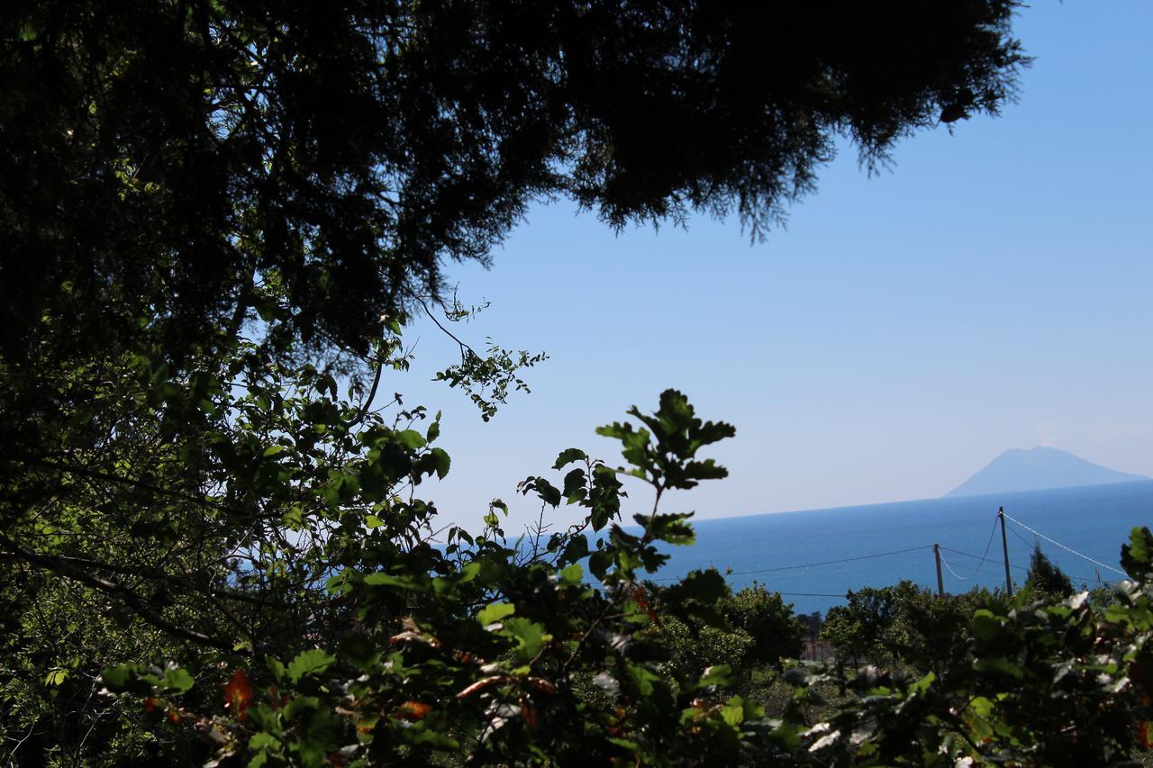 سانتا دومينيكا Agriturismo Ruralia المظهر الخارجي الصورة
