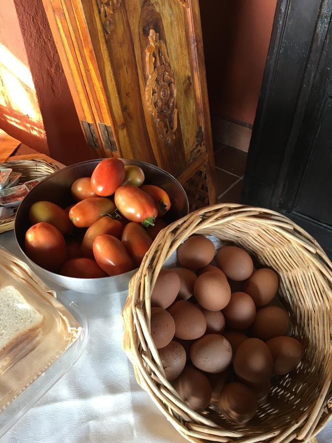 سانتا دومينيكا Agriturismo Ruralia المظهر الخارجي الصورة